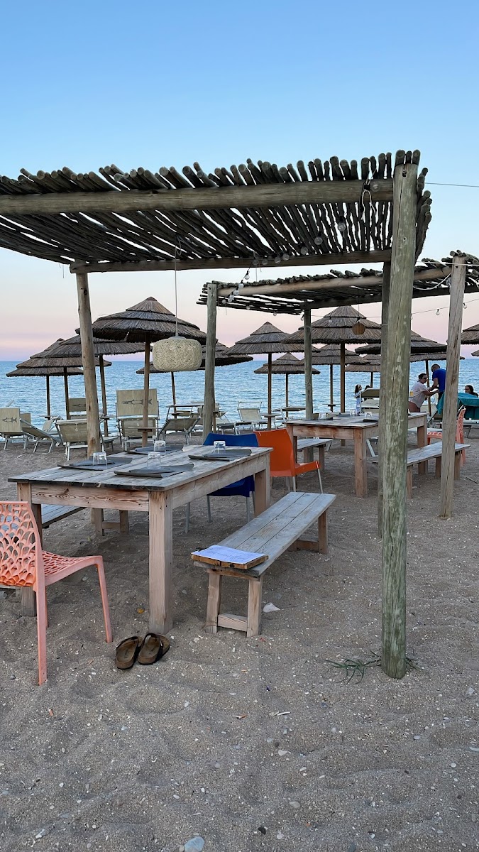 Barracuda Summer Fun Beach